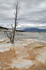 Yellow Stone Nationalpark Wyoming Mammoth Hot Springs