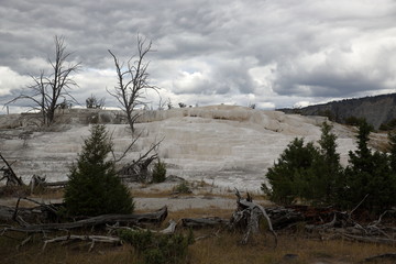 Yellow Stone Nationalpark Wyoming Mammoth Hot Springs