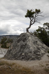 Yellow Stone Nationalpark Wyoming Mammoth Hot Springs