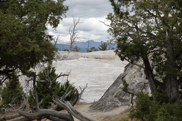 Yellow Stone Nationalpark Wyoming Mammoth Hot Springs New Highland Terace 