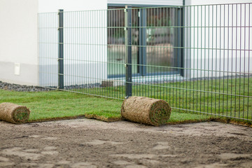 reating a new lawn with rolled grass, lawn with rolled grass