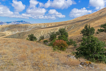 Clay ravines with traces of soil erosion and weathering.