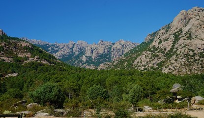 Bosque de la Pedriza en Madrid