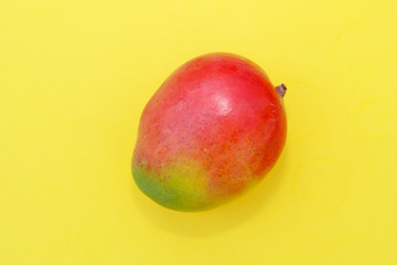 Tropical fruit mango on yellow background.