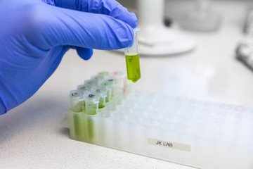 Coronavirus Vaccine. Close up to hands in blue gloves hold microtube with green liquid extract. Synthesis of new vaccine or drug against virus.