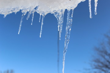 Fototapeta na wymiar icicles on a background of blue sky