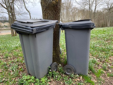 Rubbish waste bin in the park