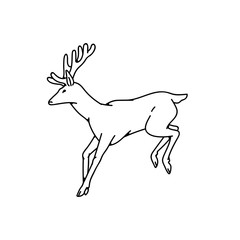 Wild deer male buck with horns jumped view profile vector outline black white sketch illustration.