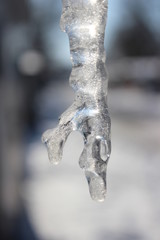 Big icicle on background in macro