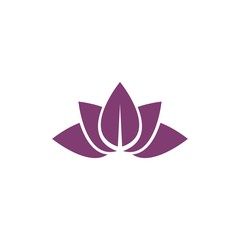 Beauty Vector Lotus flowers design logo Template icon