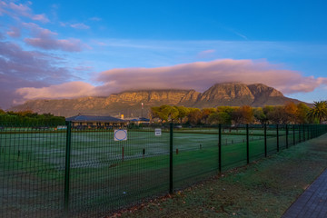 view of table mountain from Rondebosch