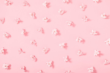 Beautiful flowers composition. Pink flowers on pastel pink background. Valentines Day, Easter, Birthday, Happy Women's Day, Mother's day. Flat lay, top view, copy space