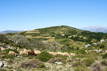 Fototapeta na wymiar Southern crete panorama, Greece