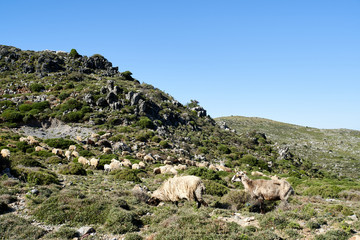 Fototapeta na wymiar Southern crete panorama, Greece