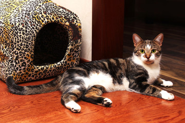 Fototapety na wymiar - Fototapeta24.pl