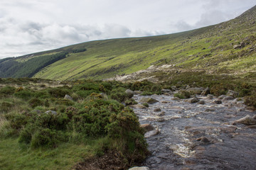 Fototapeta na wymiar Wicklow mountains (Ireland) landscape