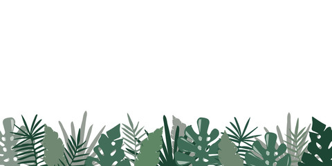 palm tree leaves background isolated on white background.