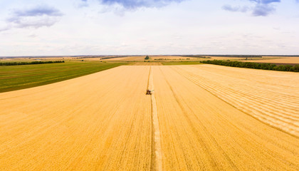 Very old rusty Combine harvester harvests wheat in the field at sunset in autumn in Russia. view from a height of equipment and field. © miklyxa