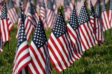 American Flags on a grassy field saluting veterans on Veterans Day.