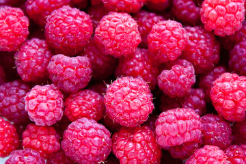 Fresh and sweet red raspberries background