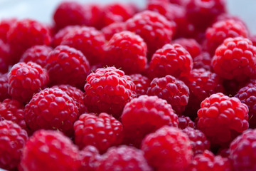 Fresh and sweet red raspberries background