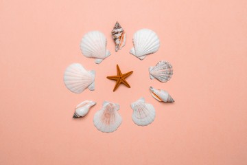 Summer time concept with sea shells and starfish on trendy orange pastel color background, copy space. Flat lay, top view