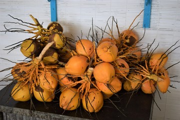 Closeup look of Beautiful Bouquet of Yellow tropical Coconut