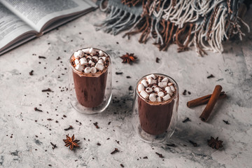 Two glasses of hot cocoa with marshmallows and chocolate chips on a background of scattered cloves, chocolate, star anise and cinnamon, with a book and a blanket in the background