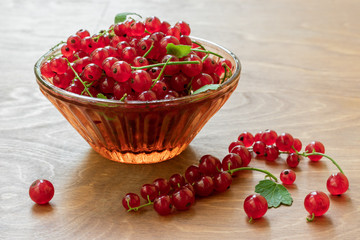 Transparent bowl full of juicy red current berries on wooden table. Freshly picked ripe red currants in plate on dark rustic wooden table.