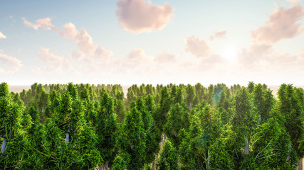 Naklejka premium Landscape Nature Background 3D Rendering