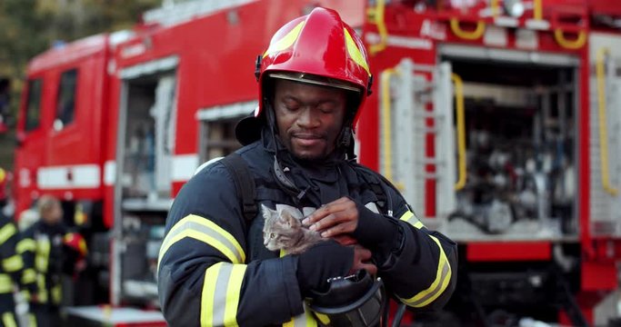 Portrait shot of the African American young handsome fire fighter in helmet and equipment holding saved gray kitten and caressing it. Outdoors.