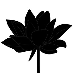 Lotus. Silhouette. Floral print. Water lily. Vector illustration. Plant on an isolated background. Mysterious water lily. Swamp plant. Nenuphar. Idea for book, greeting card, invitation, web design.