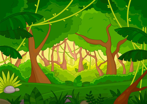 Tropical forest background with lush green trees and vegetation, colored vector illustration