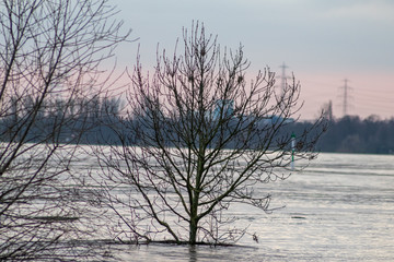&Uuml;berschwemmung und &uuml;berflutete Auenlandschaft nach Hochwasser durch starke Regenf&auml;lle, Tsunami oder Schneeschmelze mit Deichbruch als extreme Wetterkapriolen mit &Uuml;berflutungsgefahr