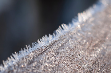 Frost crystals on a tree trunk. Macro photography