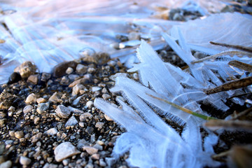 Frozen ice crystal at the shore