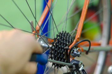 Obraz premium Bicycle mechanic in a workshop in the repair process, holds a tool in his hand