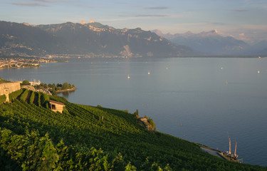View of the Geneva lake and vineyards at sunset