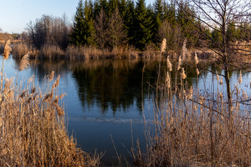 Wędkarstwo  Łowiska  Stawy, wyrobiska, starorzecza,  Okręg PZW Białystok,  Staw Koplany