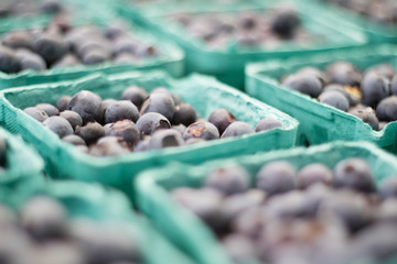Blueberries 