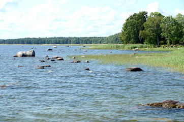 Fototapeta premium Coastline with erratic boulders at Lahemaa National Park in Estonia