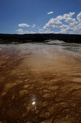 Geothermal spring in Yellowstone National Park