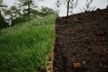  gardeners line the grass carpet