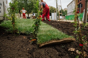  gardeners line the grass carpet