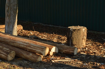 wooden log blanks lie on the street