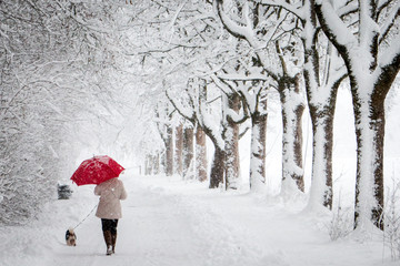 A woman with a red umbrella walks with her dog in the middle of a snow path with trees around