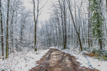 Muddy pathway in snowy forest