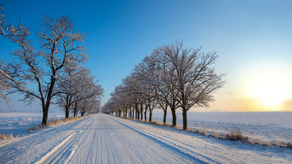 winter road in a snow among a trees at the early morning, winter sunset background