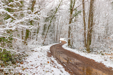 Muddy pathway in snowy forest