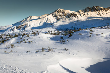 Fototapeta na wymiar Winter landscape of Tatra Mountains Zakopane,Poland